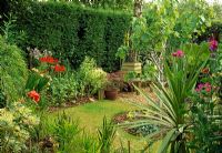 Top garden with lawn and borders containing bamboo and Crocosmia 'Lucifer', Cordyline and Fig tree with silver bark Ficus carica - 28A Braces Lane, Bromsgrove, Worcestershire