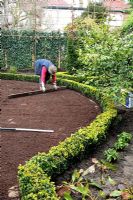 Levelling compost with board, laying turf in town garden with low Buxus hedges