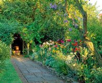 Pathway from entrance archway covered with Clematis 'Polish Spirit' leads past long border to house. Clematis 'Perle d'Azur' climbs up an almond tree.