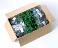 Plants by post - Helleborus in 9cm pots packaged for posting