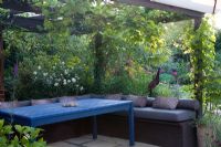 A Moroccan inspired, drought tolerant garden with a vine covered pergola creating shade in summer - Planting includes Vitis vinifera 'Black Hamburg', Vitis 'Brandt' and Carpentaria California