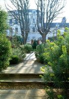 Two pollarded limes frame the central axis of this Bristol garden. Euphorbia flowers in the winter sunshine. Further up the garden, ornamental rosemary and a holly pyramid provide further evergreen winter interest.
