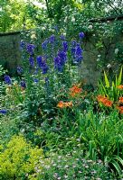 Iris pseudacorus, Campanula and Geranium endressii - The Cooper Garden
