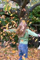 Girl throwing autumn leaves of Prunus - cherry in October 