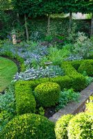 Clipped Box hedge with Nepeta officinalis, Salvia sempervirens and Pittosporum