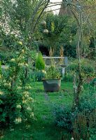 Looking through a Hazel arch with Lonicera japonica 'Halliana' to a 'secret garden' with recycled copper planter