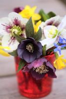Winter floral posie - Helleborus 'Slaty Blue', Helleborus 'Niger' and Helleborus 'Guttatus'