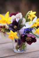 Winter floral posie - Helleborus 'Slaty Blue', Helleborus 'Niger',
Helleborus 'Guttatus' and Narcissus