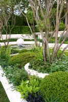 Orb limestone sculpture by Simon Thomas in water feature pool. Carpinus betulus hedge to the rear. Raised bed white walls & white paving. Rhus typhina shrub stems, Ilex crenata, Saxifragia x urbium, Ophiopogon japonicus var., Geranium renardii, Asarum europium, Liriope muscari.The Cancer Research UK Garden, sponsored by Cancer Research - Silver-Gilt Flora medal winner at RHS Chelsea Flower Show 2009
