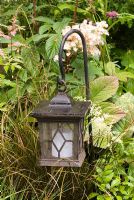 Lantern hanging amongst Carex comans 'Bronze', Rodgersia and Astilbe. Wild and Wonderful by Berkshire college of Agriculture - Silver-Gilt Flora medal winner for Courtyard Garden at RHS Chelsea Flower Show 2009