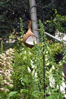 Coconut bird feeder hanging amongst Digitalis and Astilbe, Wild and Wonderful by Berkshire college of Agriculture - Silver-Gilt Flora medal winner for Courtyard Garden at RHS Chelsea Flower Show 2009