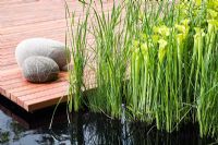 Pitcher plants and rushes edge a deck over a dark pool with large river pebbles - The Foreign and Colonial Investments Garden, Sponsored by Foreign and Colonial Investment Trust, Contractor The Outdoor Room - Silver Flora medal winner at RHS Chelsea Flower Show 2009