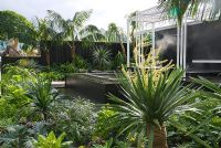 Exotic style planting with Dracaena draco -Dragon Tree surrounding a pavilion with termal spa Canary Islands Spa Garden, sponsored by The Canary Islands Tourist Board, contractor Hillier Landscapes - Silver Flora medal winner at RHS Chelsea Flower Show 2009
