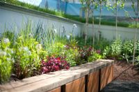 The Future Nature Garden, Sponsored by Yorkshire Water, University of Sheffield Alumni Fund, Green City Initiative, Buro Happold - RHS Chelsea Flower Show 2009
