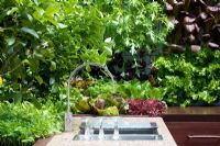 Stone sink area in outdoor kitchen surrounded by edible living wall planted with baby salad leaves - Freshly Prepped by Aralia, sponsored by Pawley and Malyon, Heather Barnes, Attwater and Liell - Silver Flora medal winner for Courtyard Garden at RHS Chelsea Flower Show 2009
