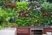 Stone sink area in outdoor kitchen surrounded by edible living wall planted with baby salad leaves - Freshly Prepped by Aralia, sponsored by Pawley and Malyon, Heather Barnes, Attwater and Liell - Silver Flora medal winner for Courtyard Garden at RHS Chelsea Flower Show 2009 
