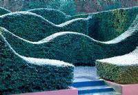 The Hedge Garden with Yew hedges - Veddw House Garden, February