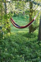 Hammock in a little wood with Primula veris in evening light