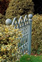 Gate in back garden made by Steve Pibworth with Ilex aquifolium 'Argenta Marginata' at either side - Highfield Hollies, Liss, Hampshire