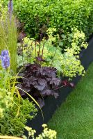 Heuchera 'Obsidian' with Alchemilla mollis, Stipa tenuissima and Buxus sempervirens - An Urban Retreat by Paul Titcombe - BBC Gardeners' World Live 2009 - Gold Medallist 