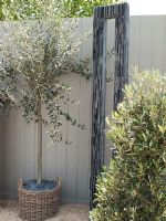 Garden sculpture by Tom Stogdon with Olive tree in container - RHS Chelsea Flower Show