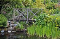 Wooden bridge over landscaped water garden - Millennium Garden NGS, Lichfield, Staffordshire