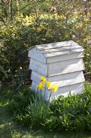 Beehive at Coopers Millenium Garden, Lichfield