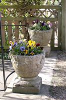 Mixed Spring containers at Coopers Millenium Garden, Lichfield
