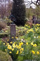 Sundial and Narcissus at Coopers Millenium Garden, Lichfield