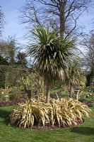 Island bed with a large Cordyline and Phormiums at Coopers Millenium Garden, Lichfield