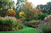 The Long Walk autumn borders of grasses, perennials, trees and shrubs in October including Miscanthus, Pennisetum, Cortaderia, Verbena bonariensis and Sorbus 
at Knoll Gardens, Dorset