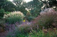 The Decennium border in autumn with perennials and grasses including Cortaderia 'Sunningdale Silver', Miscanthus sinensis 'Ferner Oster', Pennisetum 'Hameln' and Verbena bonariensis at Knoll Gardens, Dorset in October