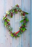 A frosted door wreath with a cornus frame,  decorated with skimmia, ivy and pine