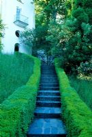 The Village. View up steps with box hedges - Portmeirion, Gwynedd, Wales