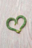 Heart shape made out of two young runner beans on a wooden surface