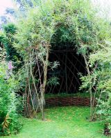 Living willow arbour with grass seat in summer
