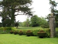 Clipped Yew topiary in Tapeley Park