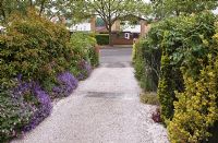 Driveway in a secluded suburban garden with co-ordinated design features and colour themed borders - High Trees, NGS, Longton, Stoke-on-Trent, Staffordshire