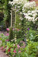 Mixed borders of blue, white and pink flowers with Rosa 'Rambling Rector' climbing over wooden archway in a pretty secluded suburban garden - High Trees, NGS, Longton, Stoke-on-Trent, Staffordshire 