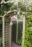 Arch trellis gateway with Rosa 'Rambling Rector' and Clematis 'Prince Charles in a secluded suburban garden - High Trees, NGS, Longton, Stoke-on-Trent, Staffordshire