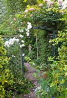 Arch with Rosa 'Compassion' and 'Prosperity' in a secluded suburban garden - High Trees, NGS, Longton, Stoke-on-Trent, Staffordshire