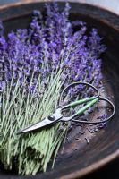 Lavender and scissors