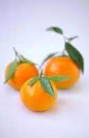 Citrus reticulata - Clementines 