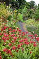Monarda 'Cambridge Scarlet' in border with lavender, mature trees and shrubs -Millennium Garden, Lichfield, Staffordshire NGS