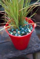 Carex in red seaside bucket with mulch of marbles