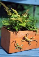 Plastic lizards on clay pot