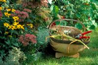 Garden trug with secateurs and autumn border