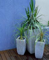 Grey planters with painted blue wall in background