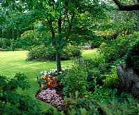 A lawn containing border with Tree underplanted with begonias 