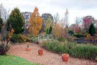 Picturesque aboretum, lakeside containers and twin Monet style bridges, autumn colour from trees and shrubs at Wilkins Pleck (NGS) Whitmore near Newcastle-under-Lyme in North Staffordshire